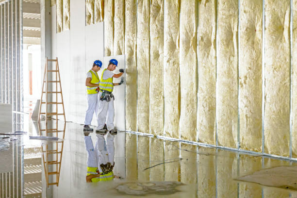 Reliable Paxton, IL Foam Insulation Services Solutions